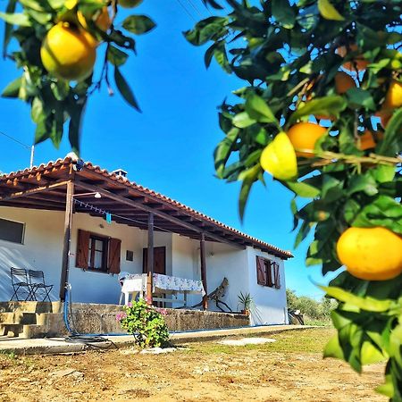 Апартаменты Anastasios House Корони Экстерьер фото